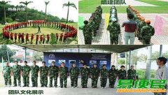 深圳拓展训练 深圳南澳拓展训练 深圳南澳拓展一日游方案