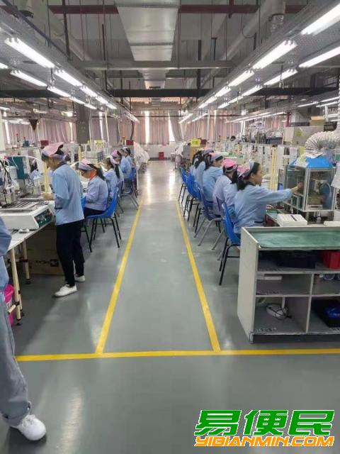 电子厂招聘大量普工