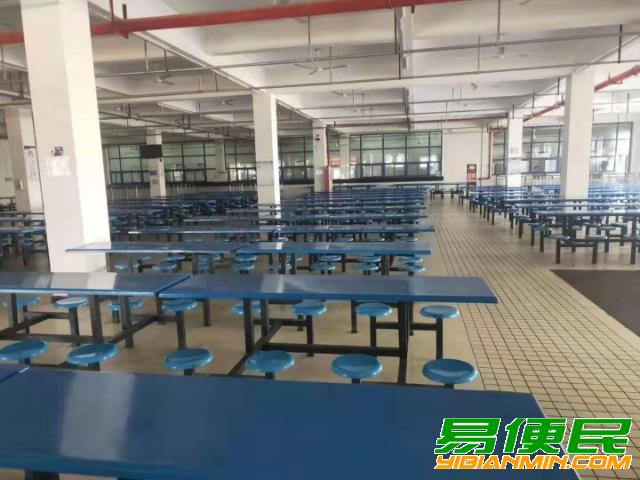 电子厂招聘大量普工