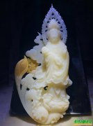 海南砗磲厂家出售血砗磲摆件砗磲原贝