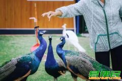 苏州三六六青少年研学旅行采菱亲子户外探索活动体验课报名中