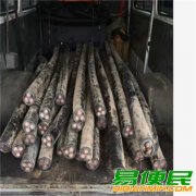 电力电缆回收（宁波废旧物资回收公司）整盘电缆线回收