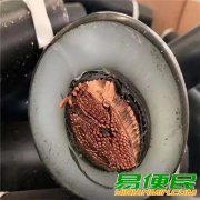 苏州上上电缆线回收-张家港高压电缆回收-随叫随到