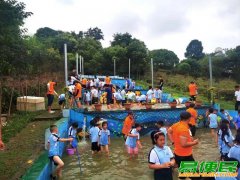 苏州少儿夏令营户外活动拓展水上运动赛龙舟体验营报名