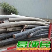 镇江废旧物资上门回收_镇江二手电缆线回收（远东电缆回收）