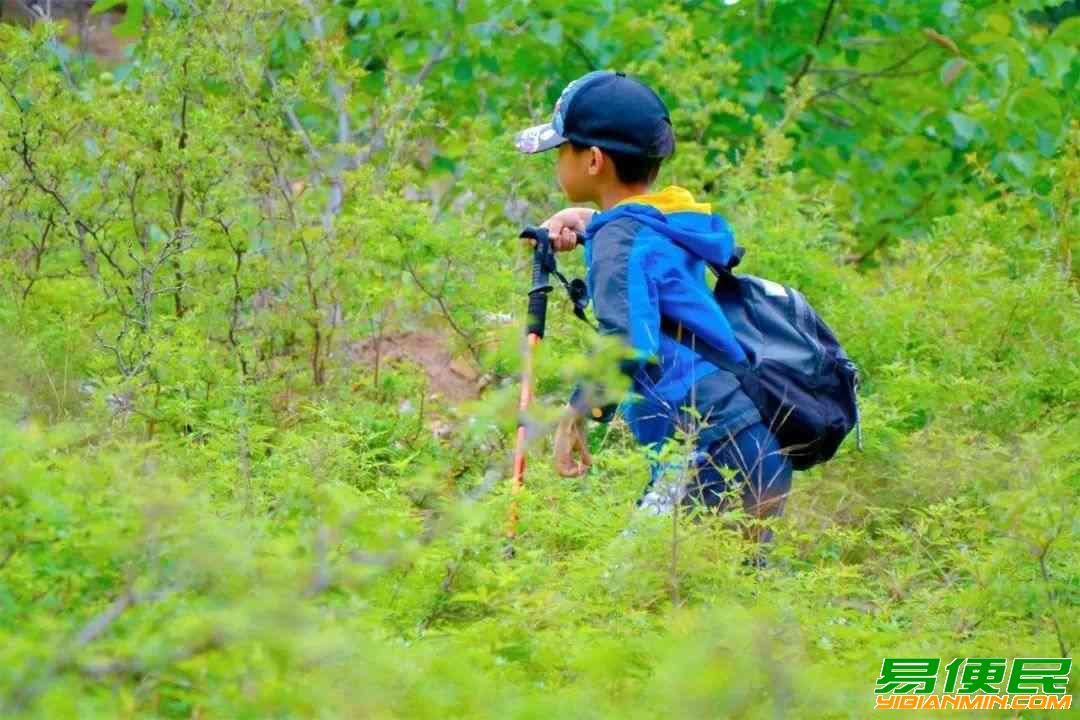 苏州三六六社会实践中小学自然科考研学旅行山野徒步体验探索活动 苏州三六六社会实践中小学自然科考研学旅行山野徒步体验探索活动