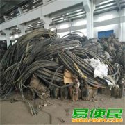 南通回收旧电缆线公司（起帆240平方）五芯低压电缆回收